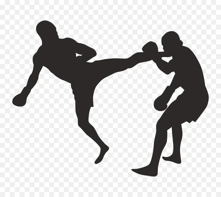 Kickboxing，Boxe PNG