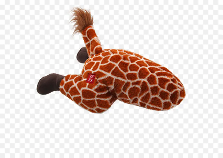 Cachorro，Girafa PNG