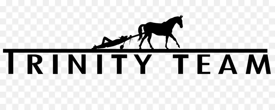 Logotipo Da Equipe Trinity，Marca PNG