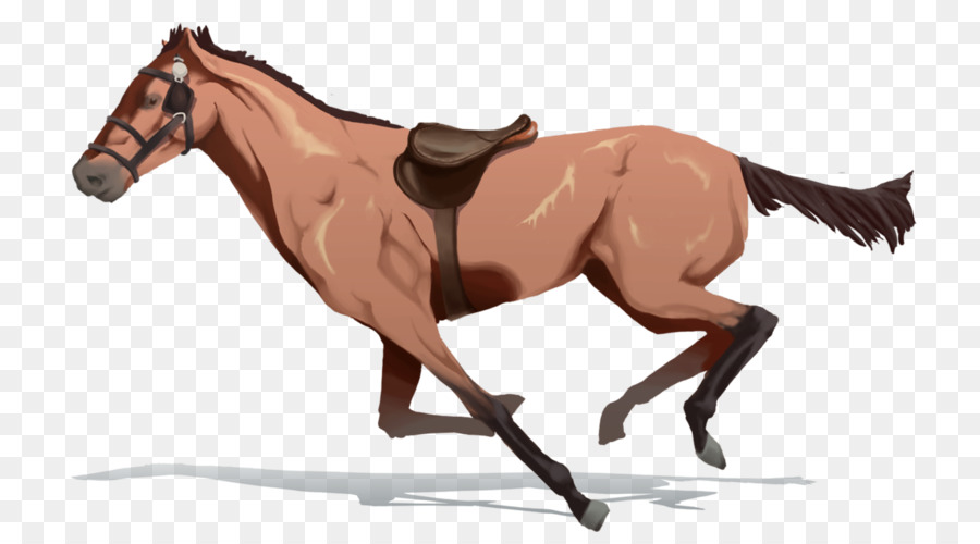 Cavalo Preto，Cavalo PNG