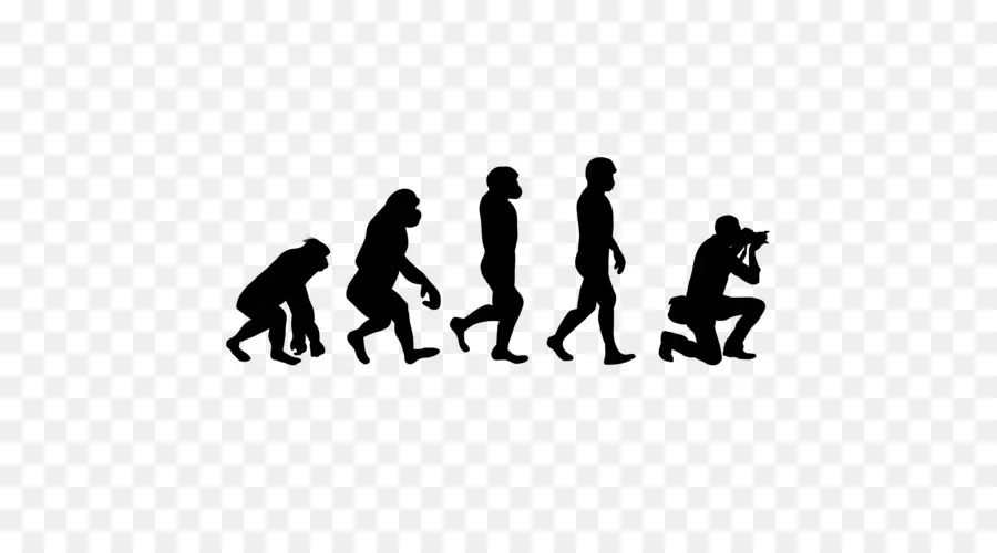 Silhueta De Evolução，Humano PNG