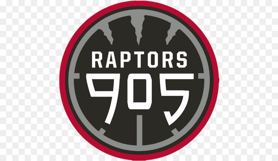 Aves De Rapina 905，Toronto Raptors PNG