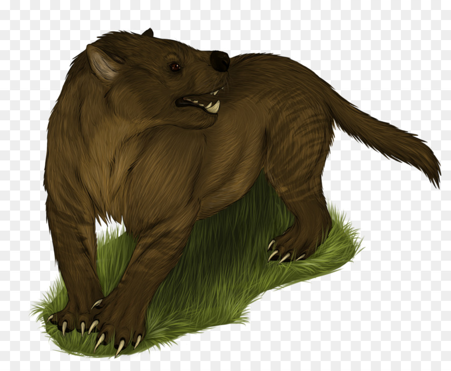 Sarkastodon，Desenho PNG