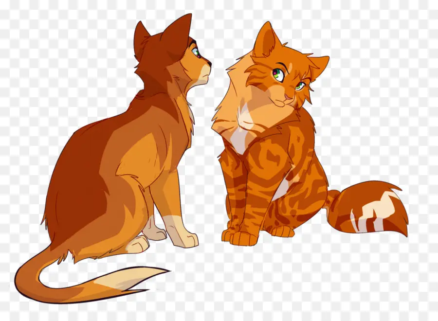 Gatos De Desenho Animado，Laranja PNG