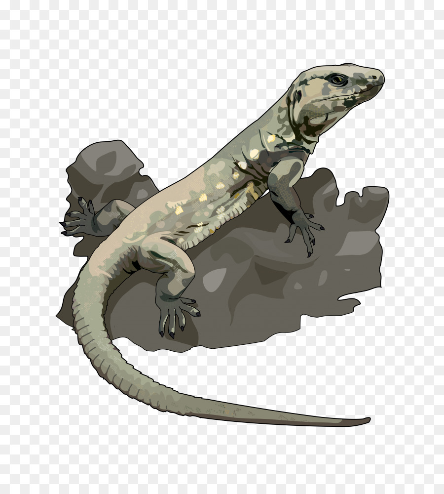 Lagarto，Réptil PNG