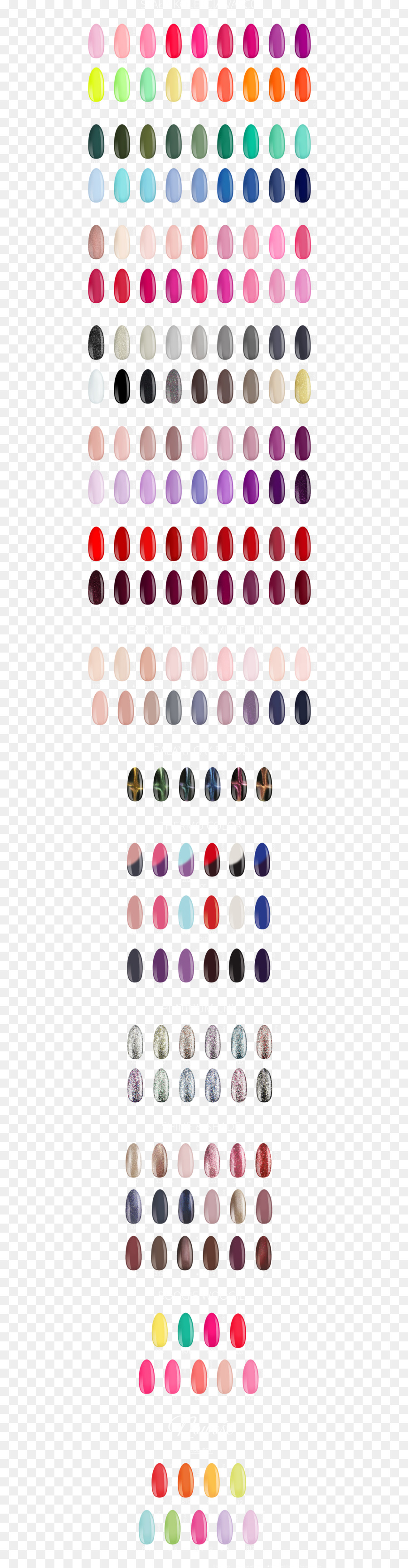 Amostras De Cores，Paleta PNG