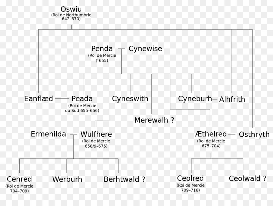 Árvore Genealógica，Genealogia PNG