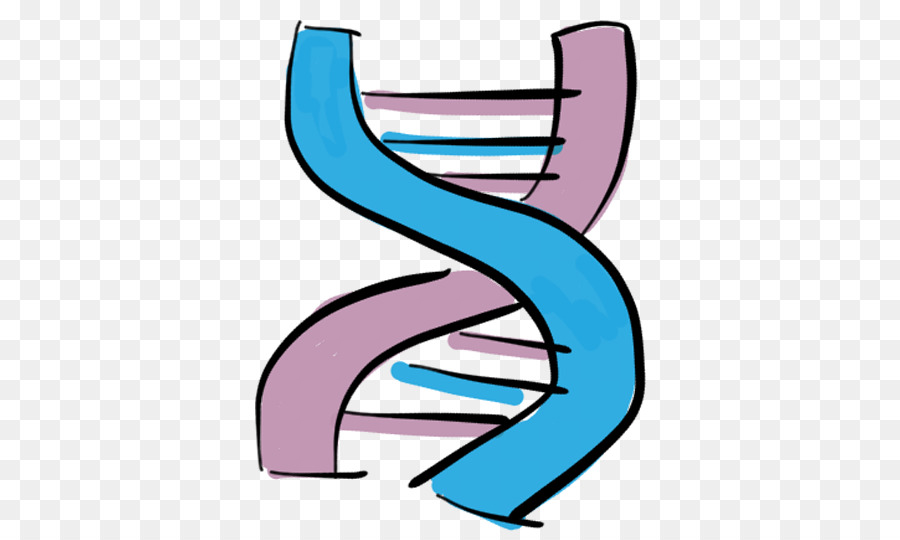 Hélice De Dna，Genética PNG