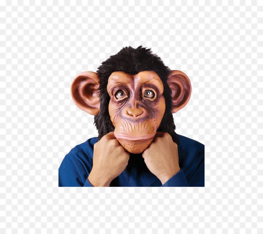Chimpanzé，Máscara PNG