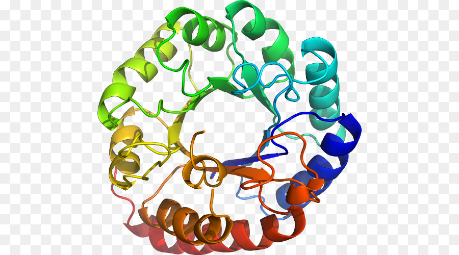 Estrutura Proteica，Biologia PNG