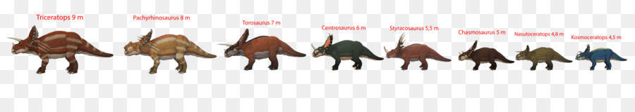 Triceratops，O Torossauro PNG