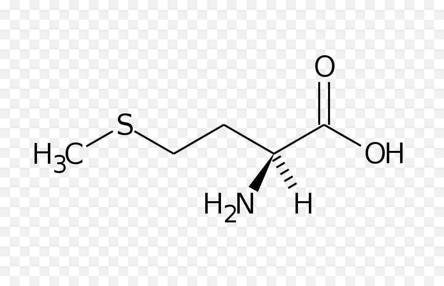 Estrutura Química，Molécula PNG