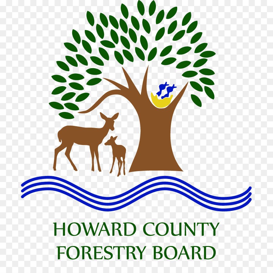 Condado De Howard Direção Florestal，Florestal PNG