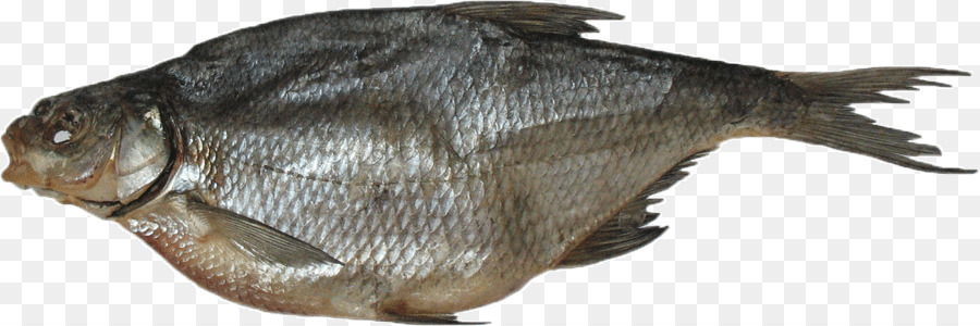 Peixe，Frutos Do Mar PNG