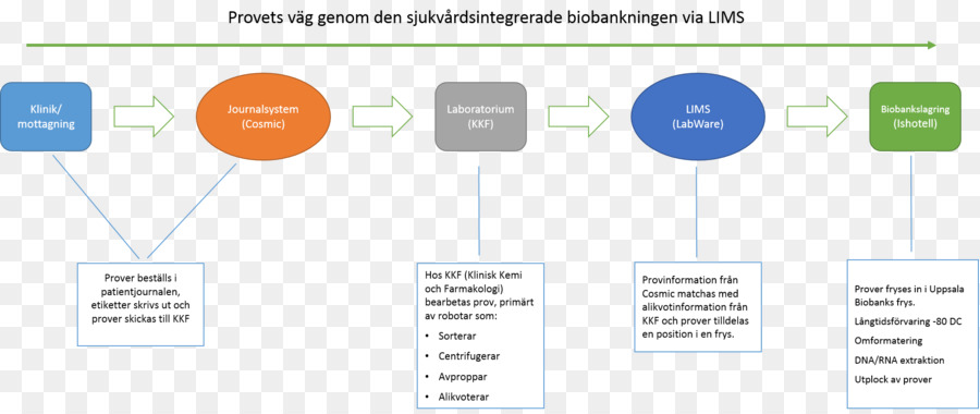 Marca，Diagrama De PNG