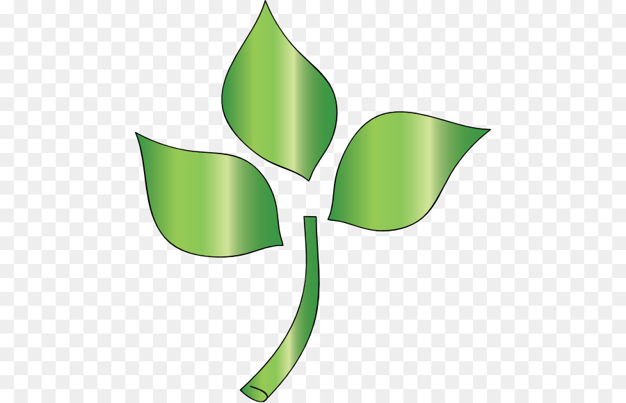 Planta Verde，Folha PNG