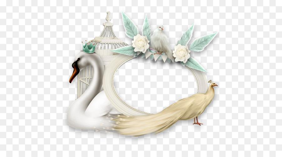 Moldura Decorativa，Cisne PNG