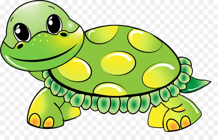 Turtle，Cartoon PNG