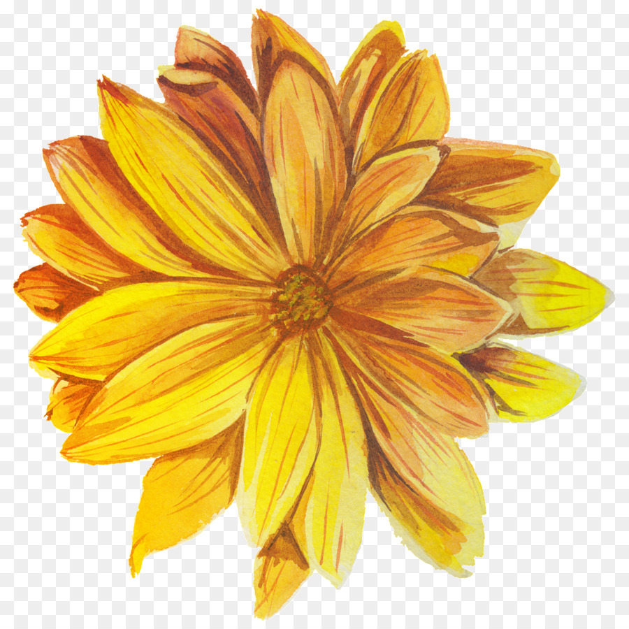 Estame，Flor PNG