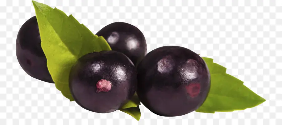 Açaí Na Tigela，O Açaí PNG