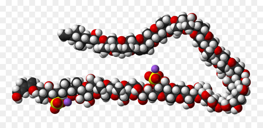 Maitotoxin，Molécula PNG