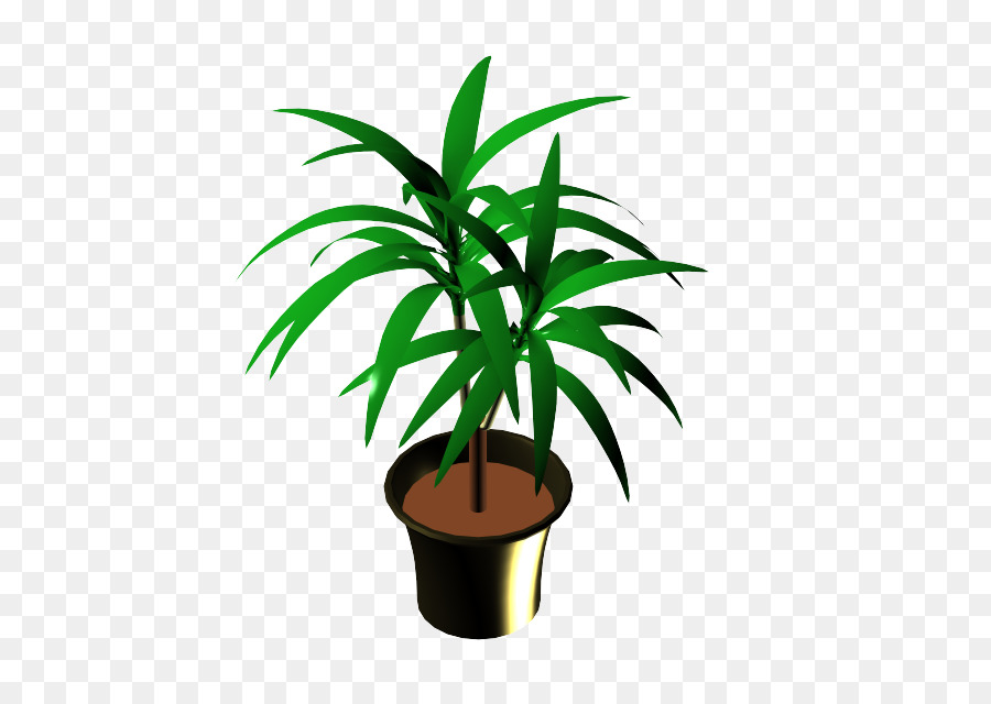 Arecaceae，Flowerpot PNG