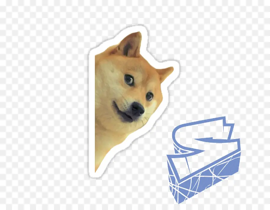 Meme Doge，Cachorro PNG