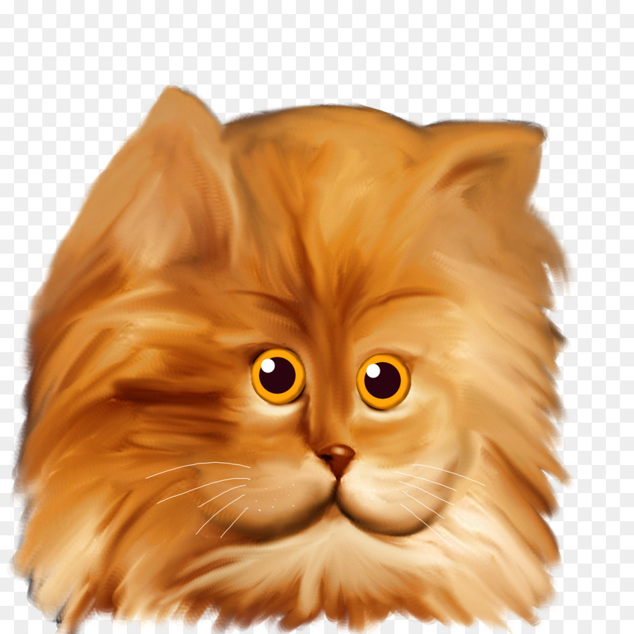 Gato Fofo，Gatinho PNG