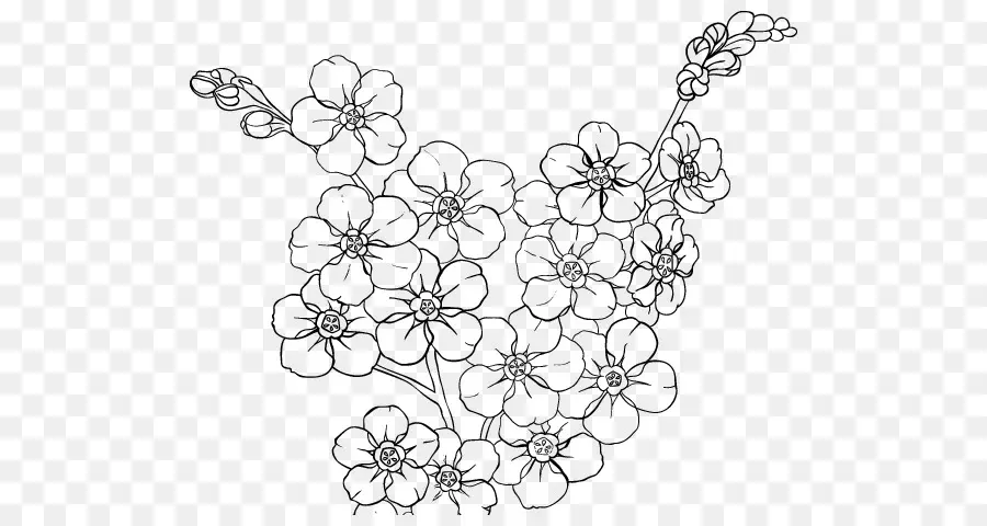 Desenho De Flor，Flores PNG