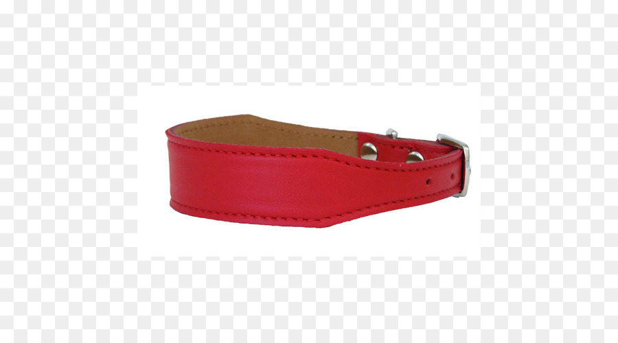 Belt，Coleira De Cão PNG