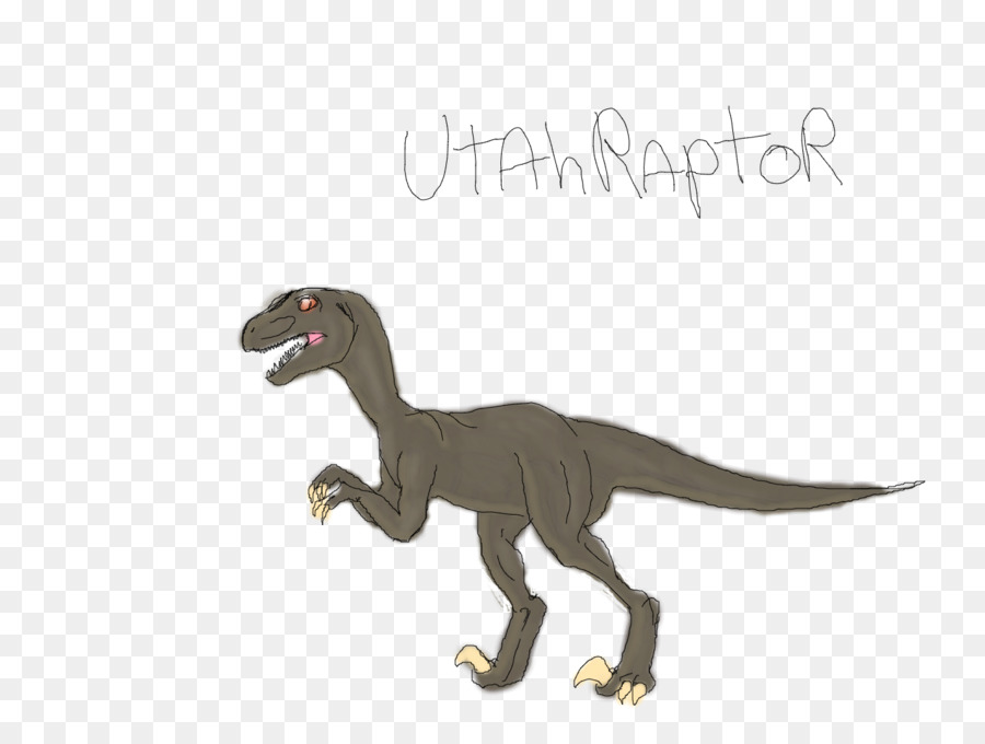 Velociraptor，Tiranossauro PNG