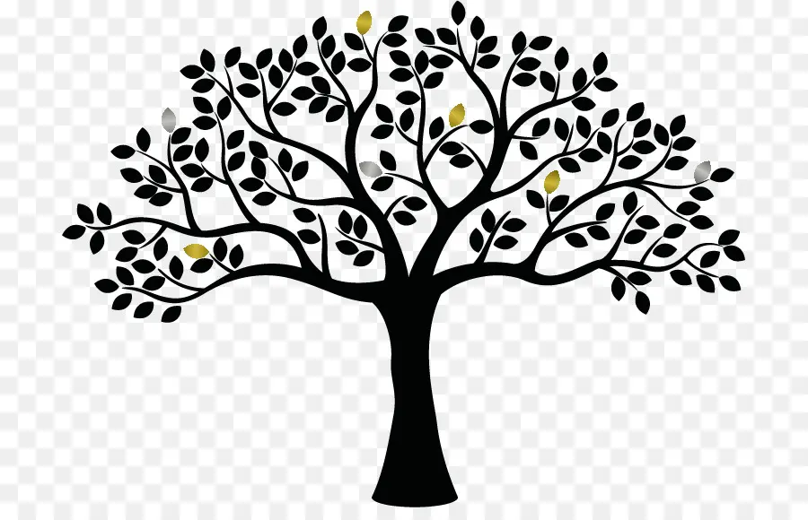 árvore Genealógica，Família PNG