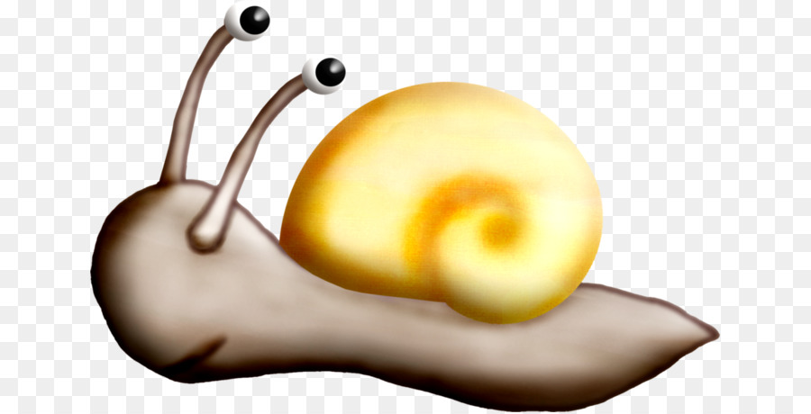 Caracol，Desenho PNG