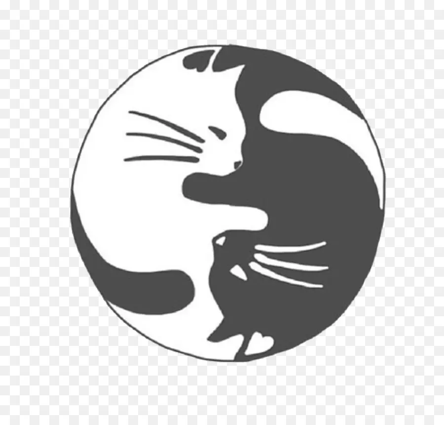 Gatos Yin Yang，Gatos PNG