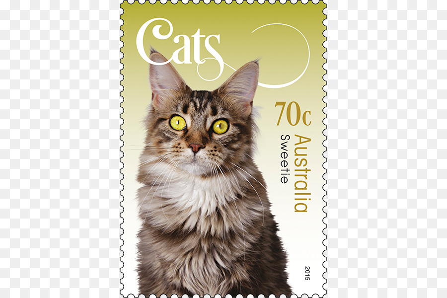 Maine Coon，Bigodes PNG