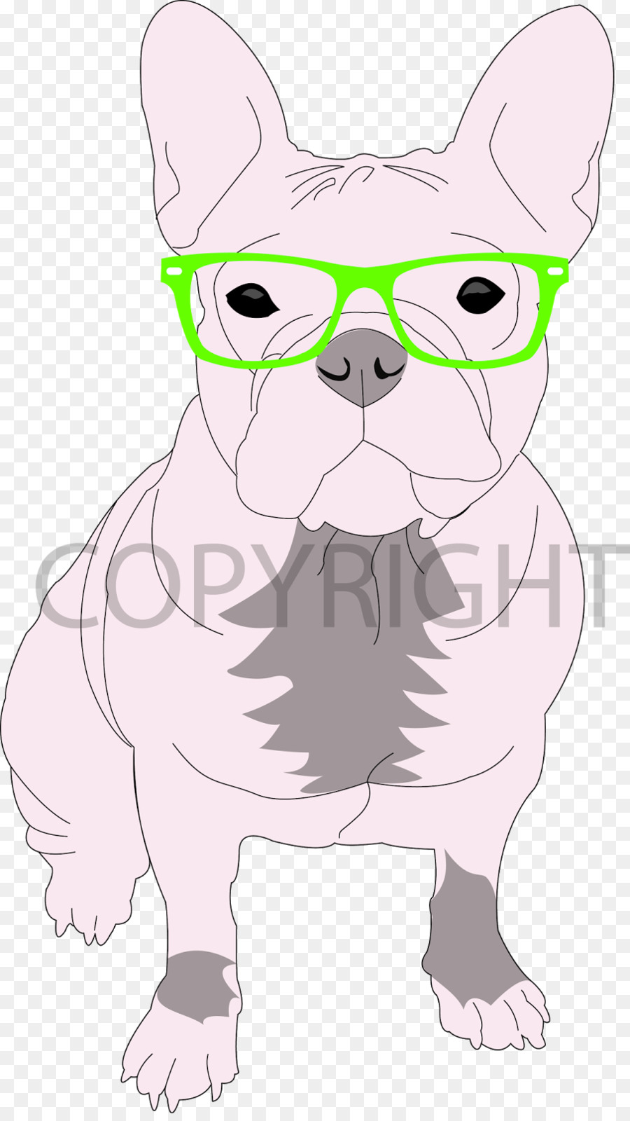 Bulldog Francês，Filhote De Cachorro PNG