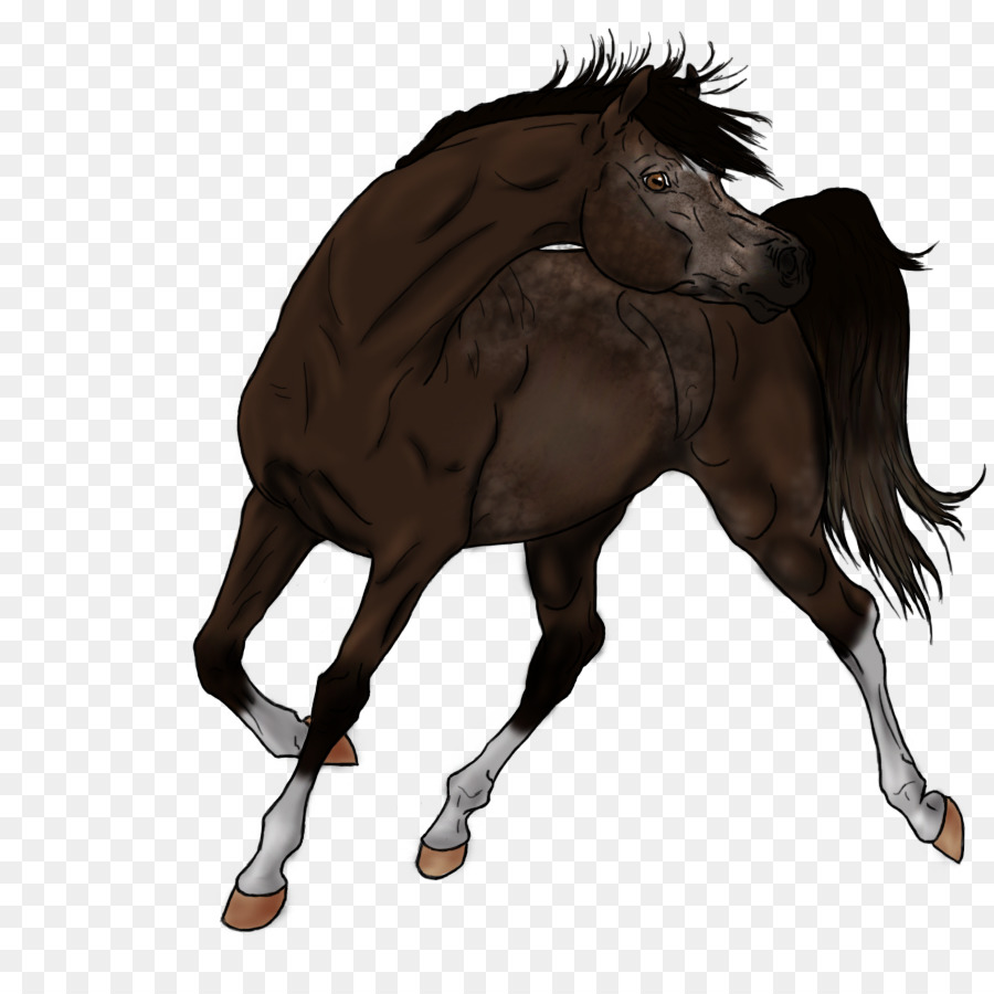 Cavalos，Potro PNG