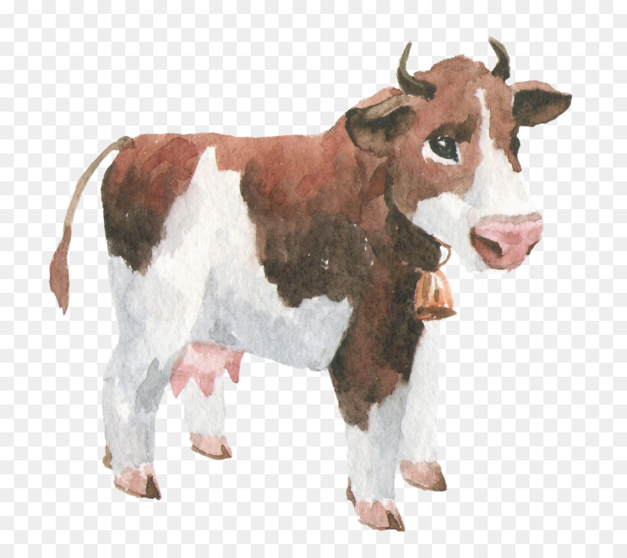 Vaca，Pecuária PNG