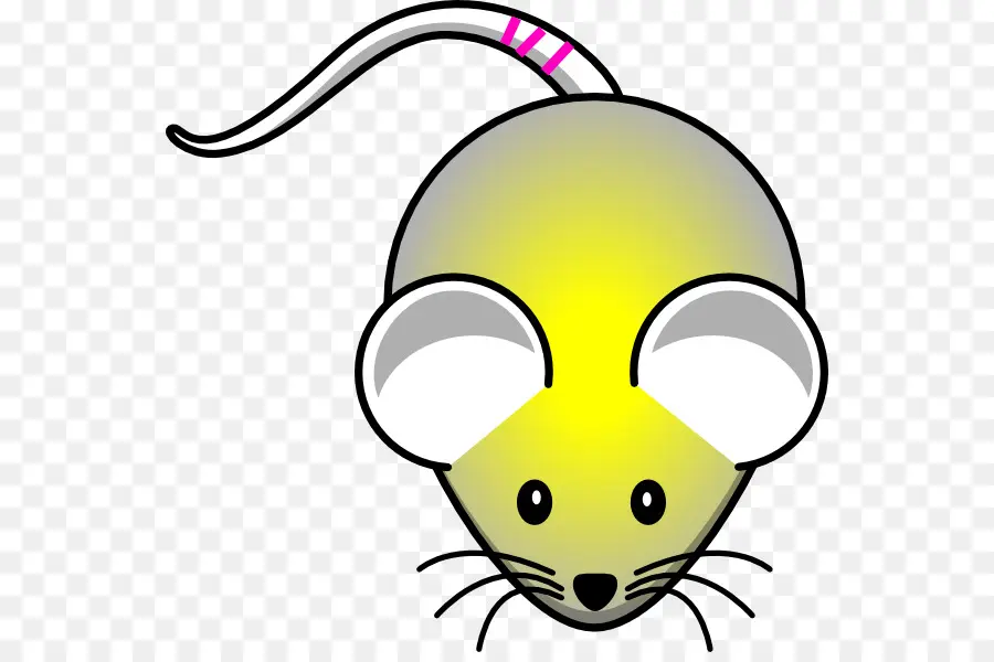 Rato，Roedor PNG