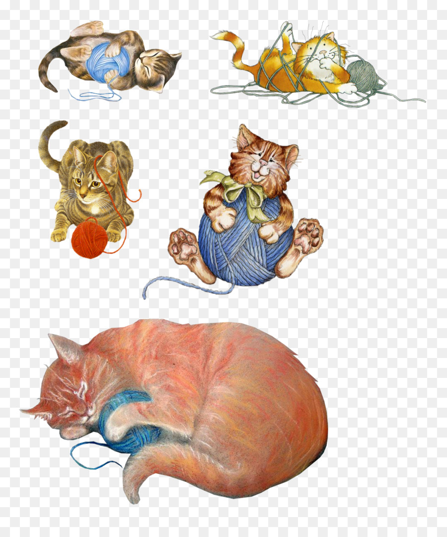 Gato，Gatos Pequenos E Médios PNG