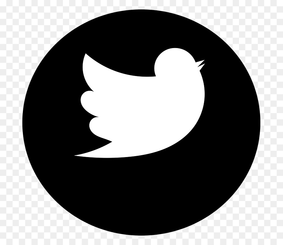 Logotipo Do Twitter，Pássaro PNG