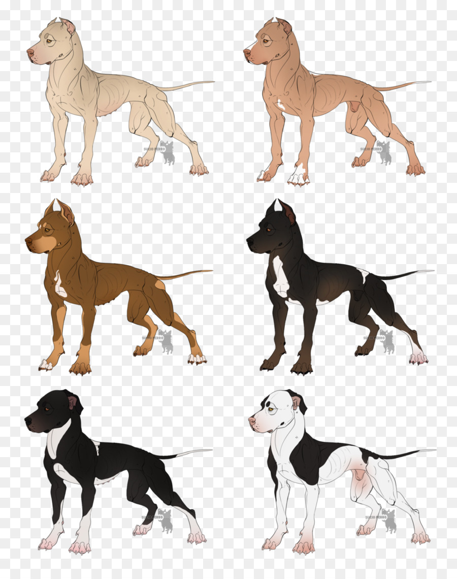 Ilustrações De Cachorro，Bicho De Estimação PNG