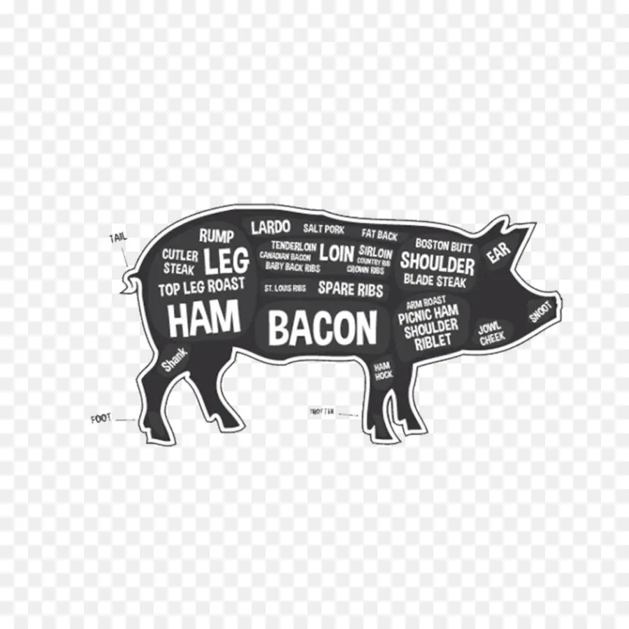 Bacon，O Porco Doméstico PNG