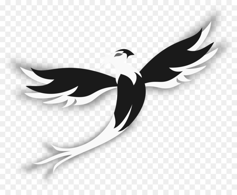 Logo，Aves PNG