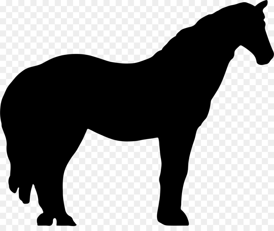 Irish Wolfhound，Cavalo PNG