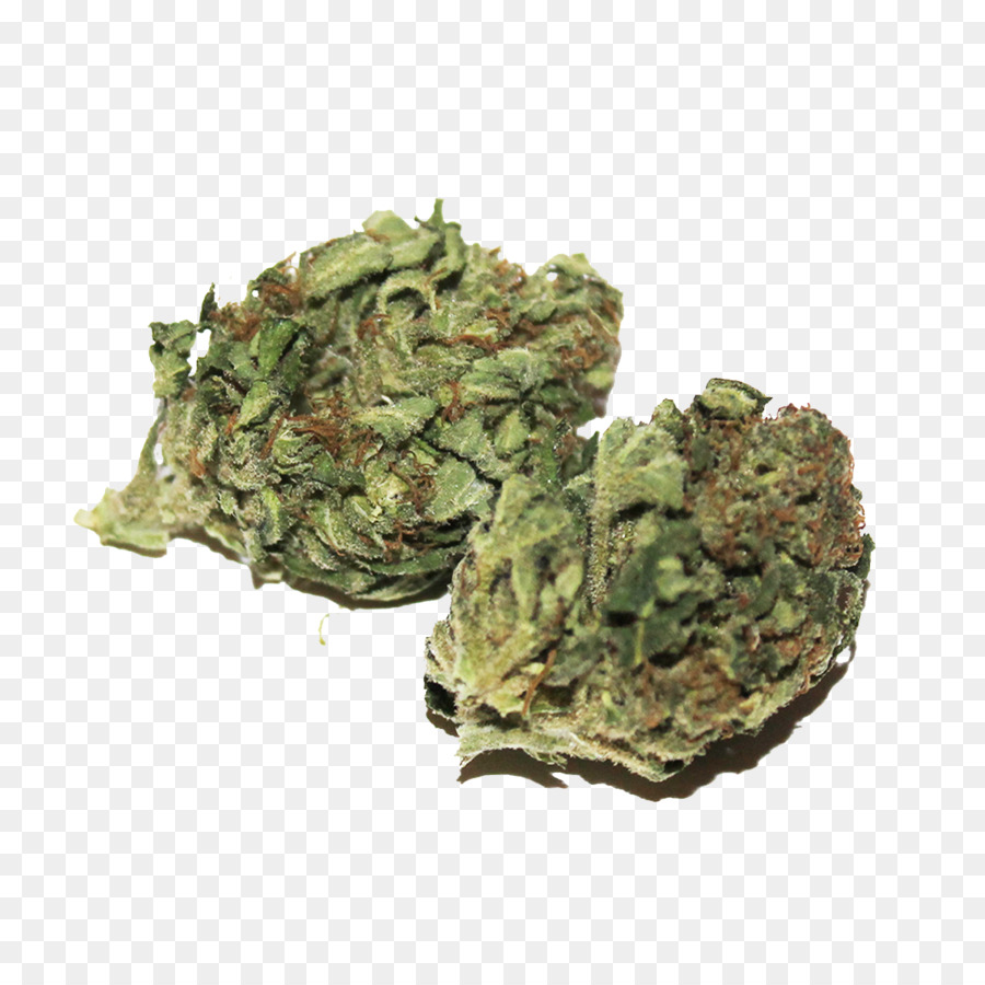 Itália，A Cannabis Sativa PNG