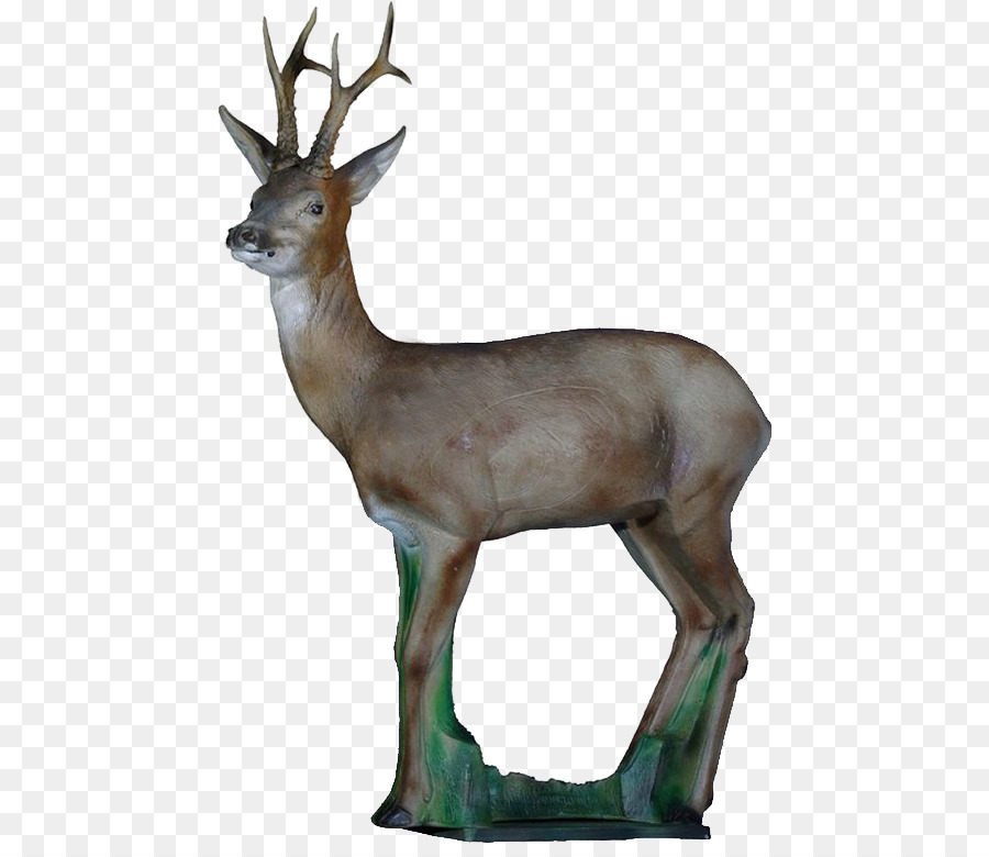 Roe Deer，Deer PNG