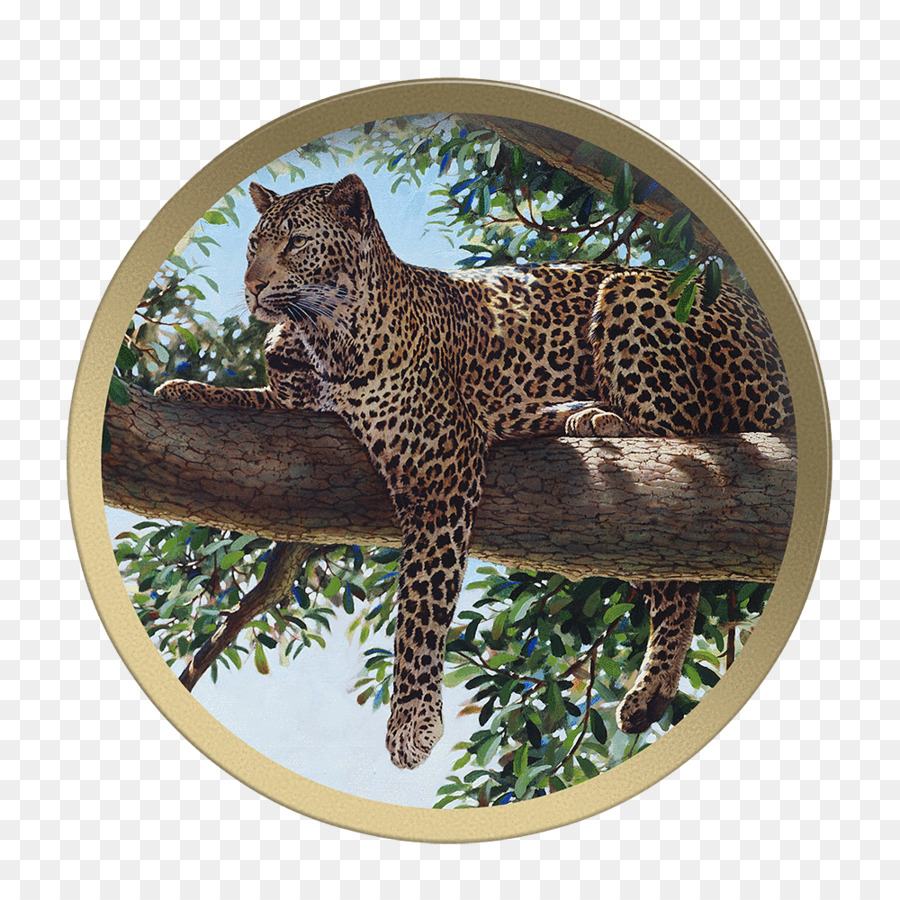 Leopardo，árvore PNG