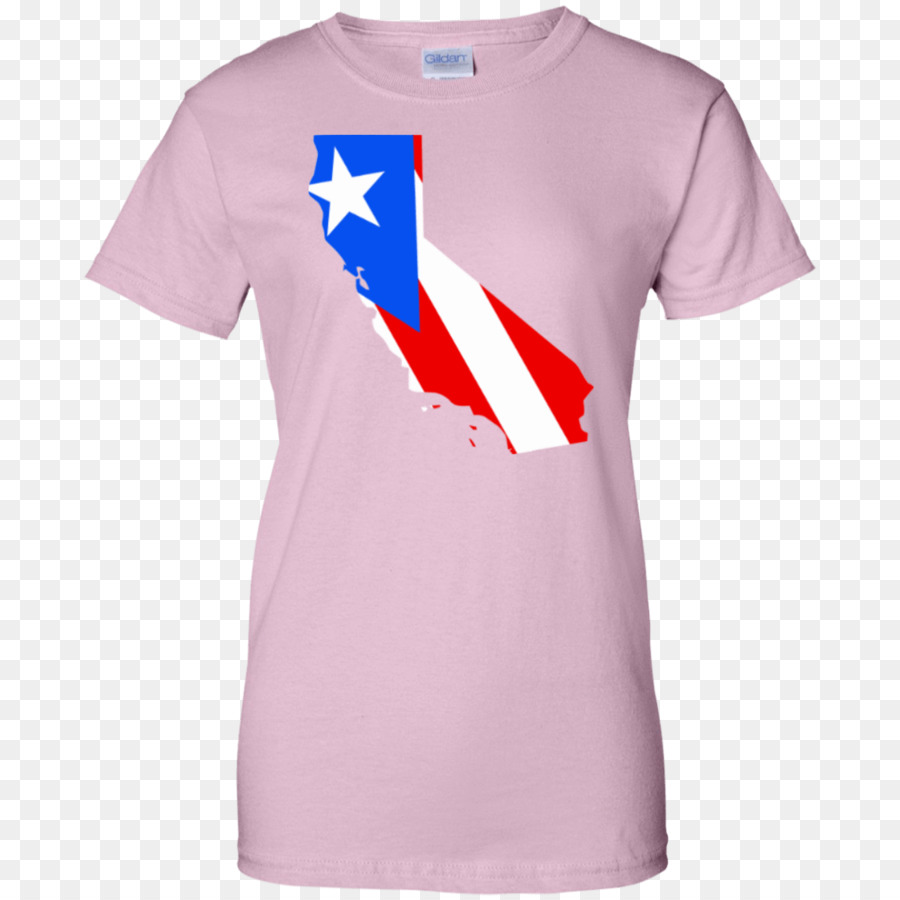 Tshirt，Capuz PNG