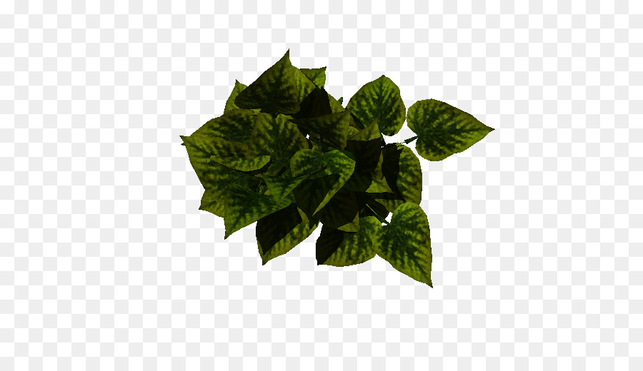 Folhas Verdes，Plantar PNG